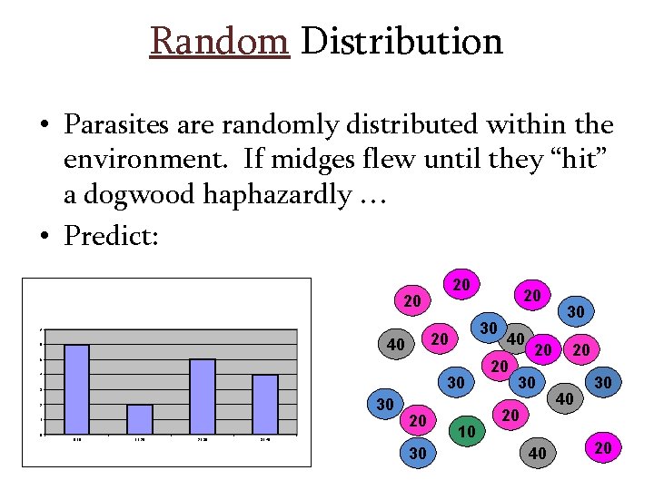 Distribution of a plant parasite on its host