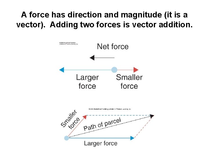 A force has direction and magnitude (it is a vector). Adding two forces is