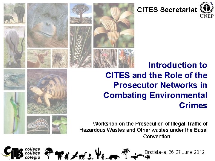 CITES Secretariat Introduction to CITES and the Role of the Prosecutor Networks in Combating