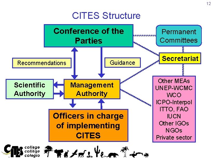 12 CITES Structure Conference of the Parties Recommendations Scientific Authority Guidance Management Authority Officers