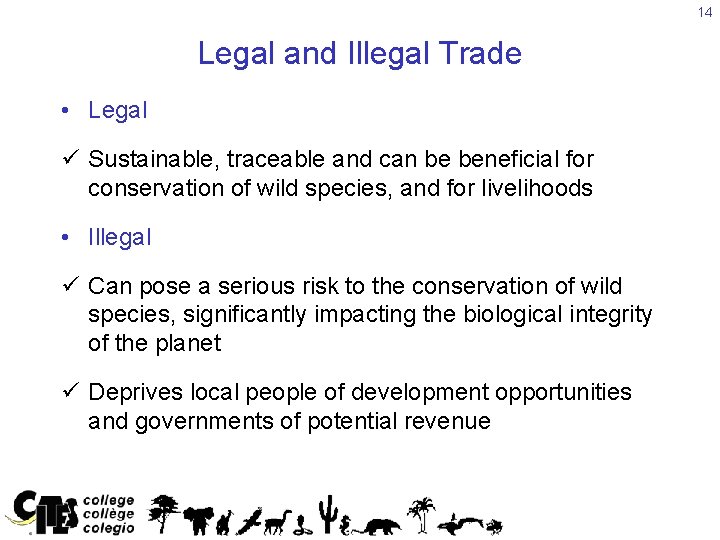 14 Legal and Illegal Trade • Legal ü Sustainable, traceable and can be beneficial