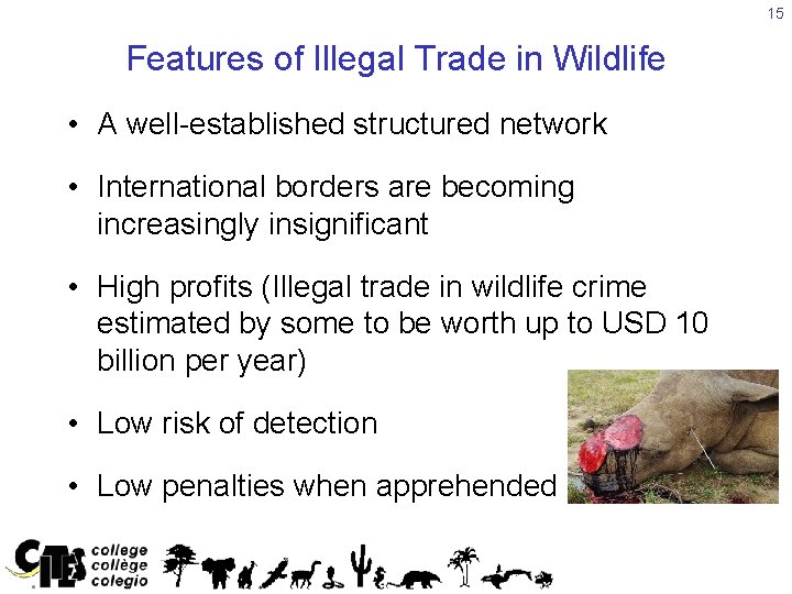 15 Features of Illegal Trade in Wildlife • A well-established structured network • International