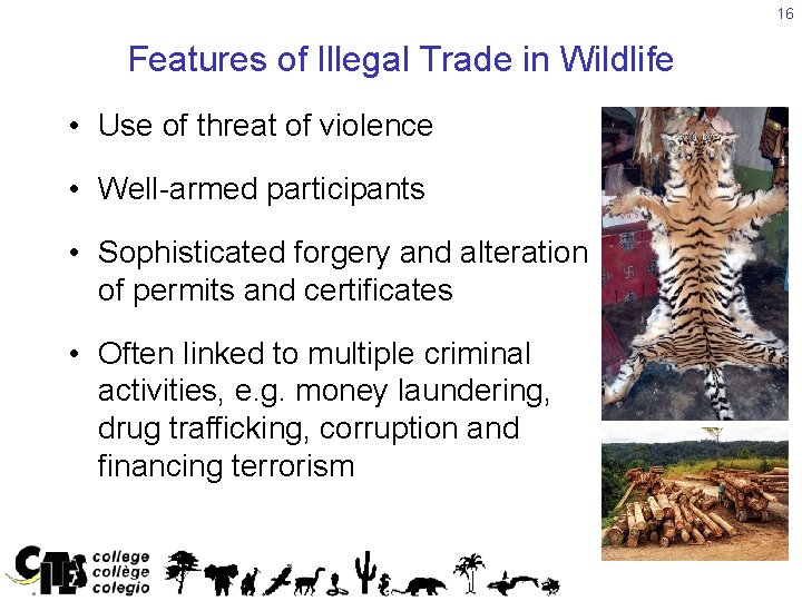 16 Features of Illegal Trade in Wildlife • Use of threat of violence •
