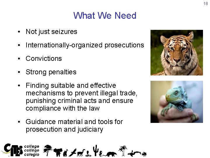 18 What We Need • Not just seizures • Internationally-organized prosecutions • Convictions •