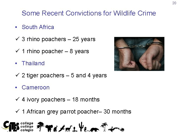 20 Some Recent Convictions for Wildlife Crime • South Africa ü 3 rhino poachers