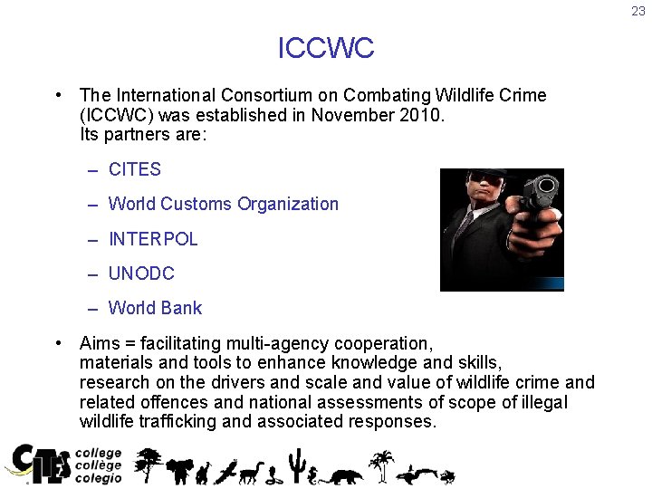 23 ICCWC • The International Consortium on Combating Wildlife Crime (ICCWC) was established in