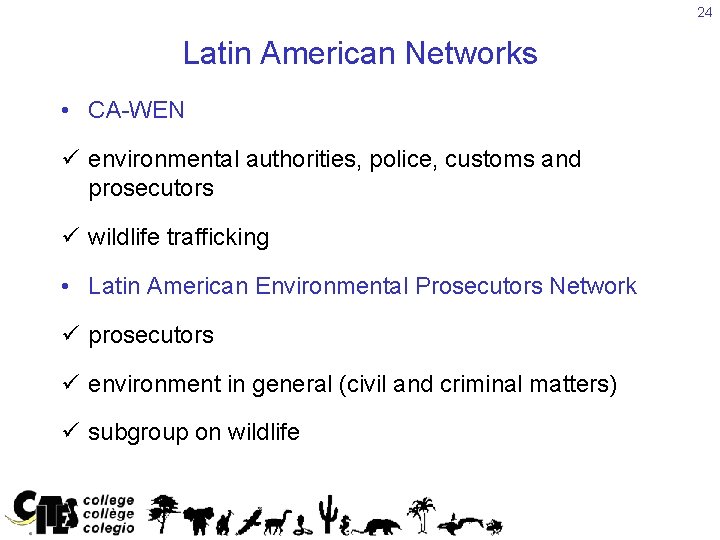 24 Latin American Networks • CA-WEN ü environmental authorities, police, customs and prosecutors ü