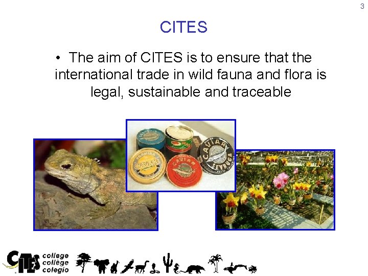 3 CITES • The aim of CITES is to ensure that the international trade