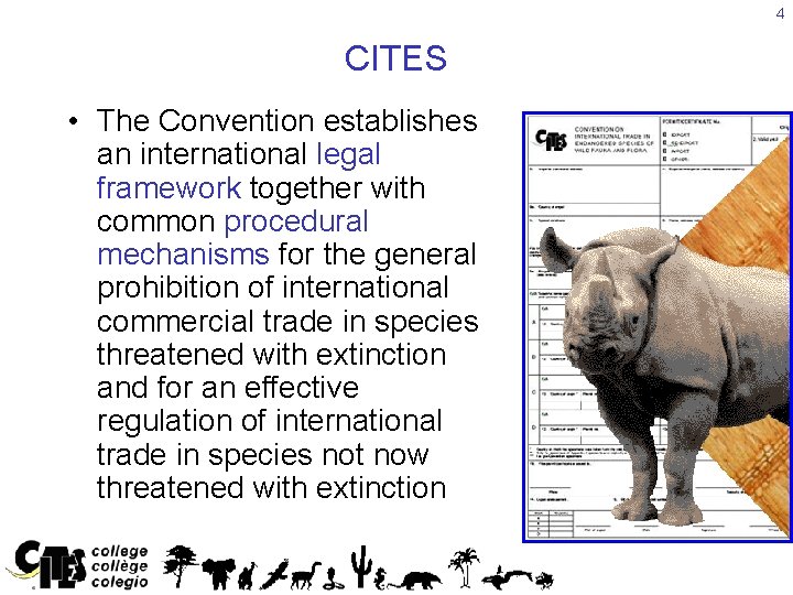 4 CITES • The Convention establishes an international legal framework together with common procedural