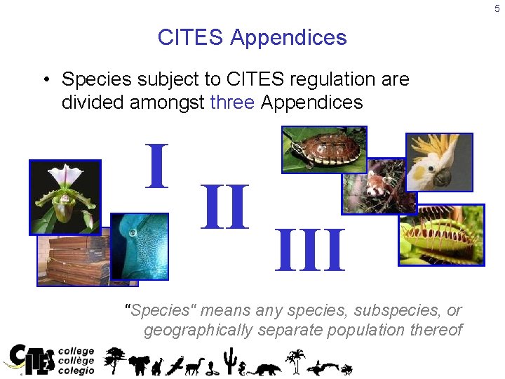 5 CITES Appendices • Species subject to CITES regulation are divided amongst three Appendices
