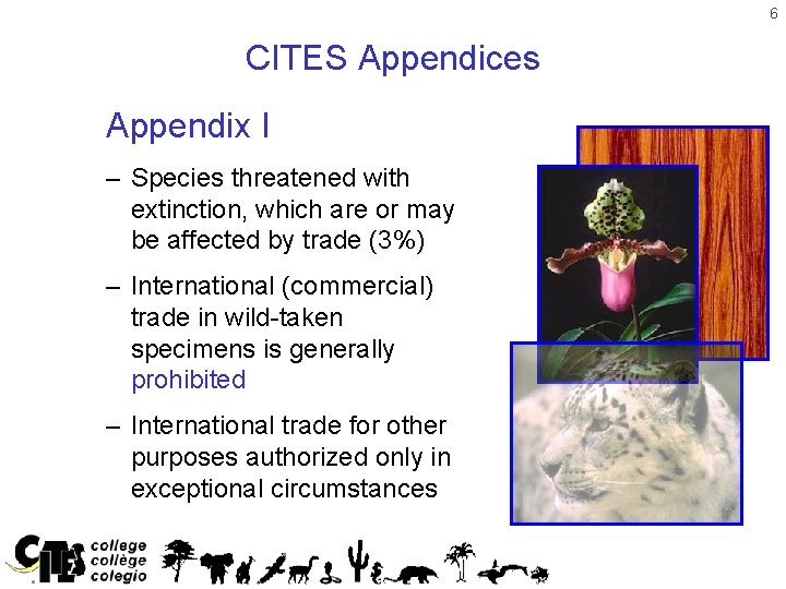 6 CITES Appendices Appendix I – Species threatened with extinction, which are or may