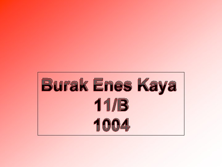 Burak Enes Kaya 11/B 1004 