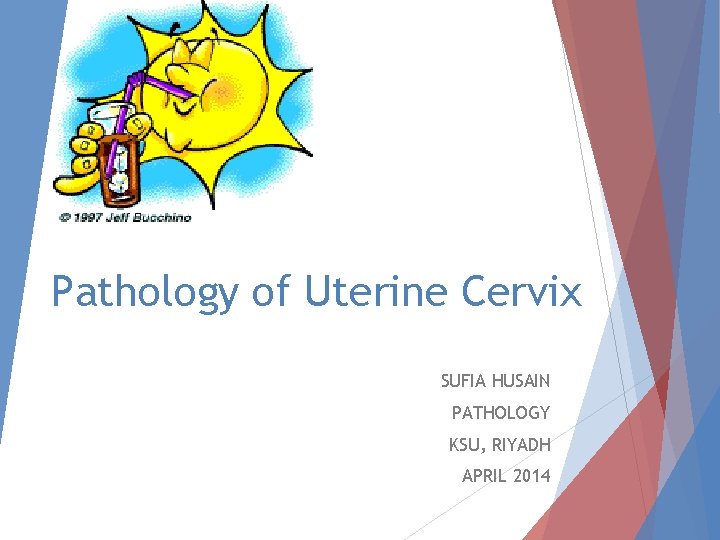 Pathology of Uterine Cervix SUFIA HUSAIN PATHOLOGY KSU, RIYADH APRIL 2014 