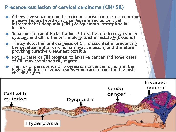 Precancerous lesion of cervical carcinoma (CIN/ SIL) All invasive squamous cell carcinomas arise from