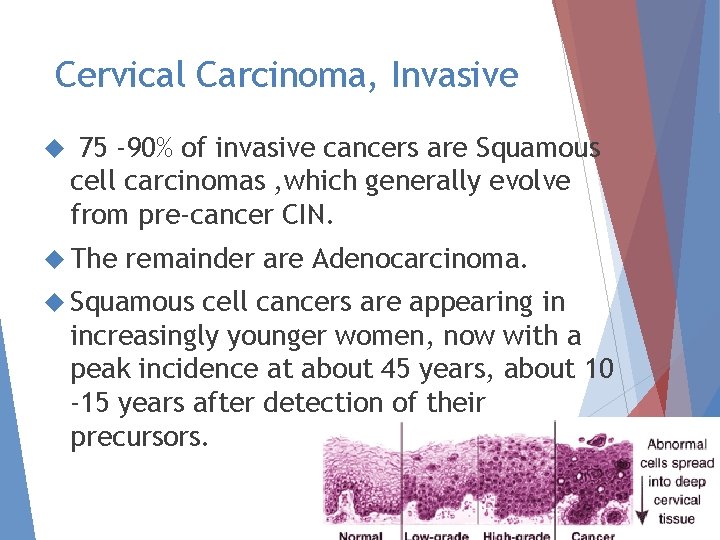 Cervical Carcinoma, Invasive 75 -90% of invasive cancers are Squamous cell carcinomas , which