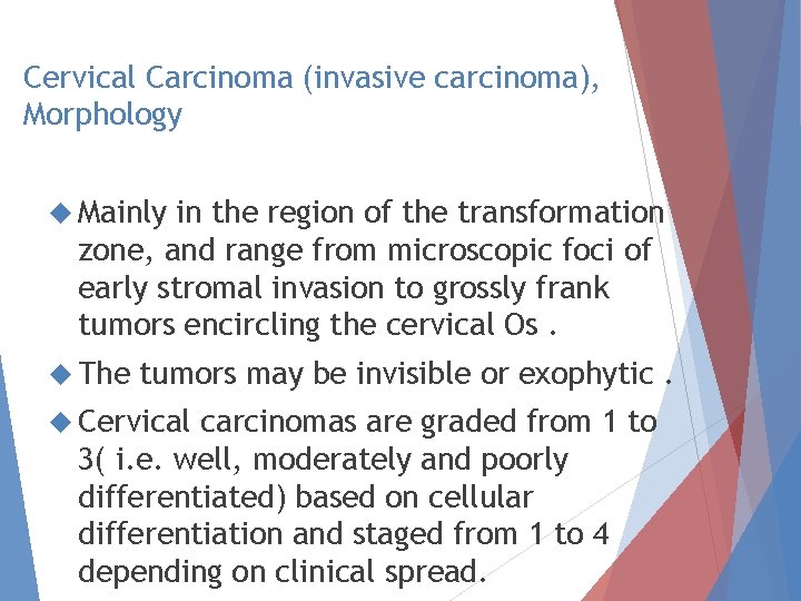 Cervical Carcinoma (invasive carcinoma), Morphology Mainly in the region of the transformation zone, and