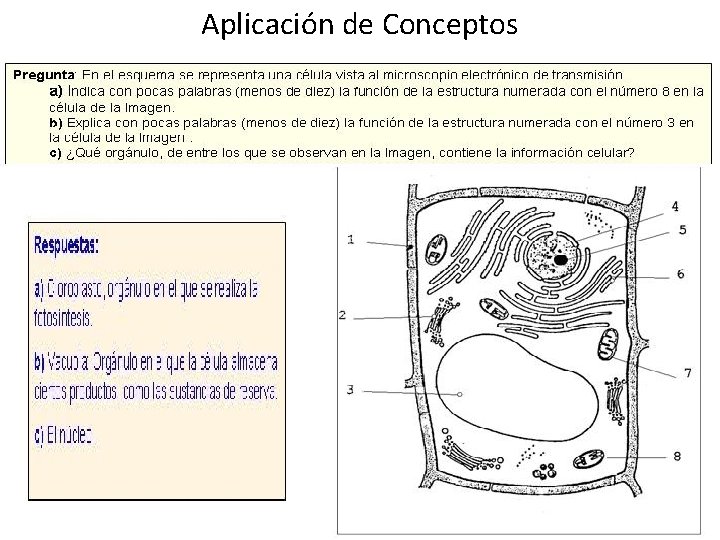 Aplicación de Conceptos 