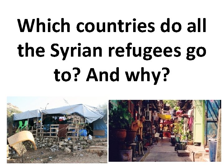 Which countries do all the Syrian refugees go to? And why? 