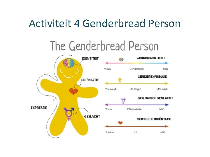 Activiteit 4 Genderbread Person 