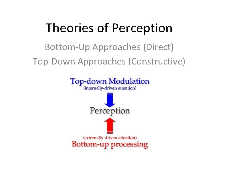 Theories of Perception Bottom-Up Approaches (Direct) Top-Down Approaches (Constructive) 