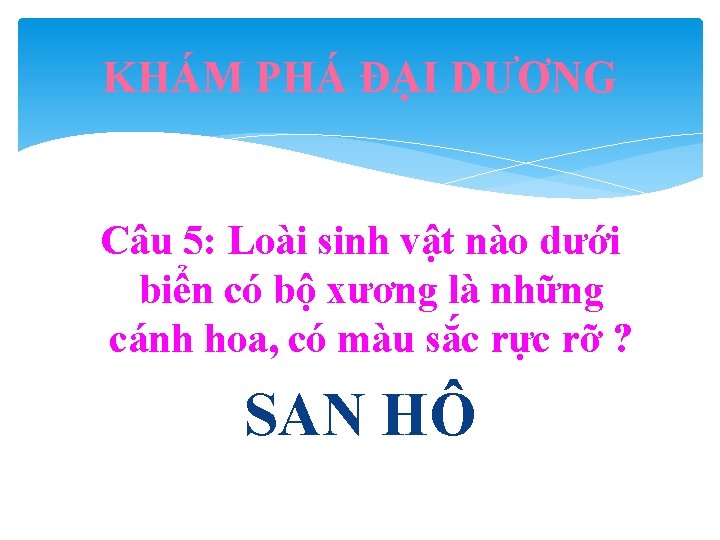 KHÁM PHÁ ĐẠI DƯƠNG Câu 5: Loài sinh vật nào dưới biển có bộ