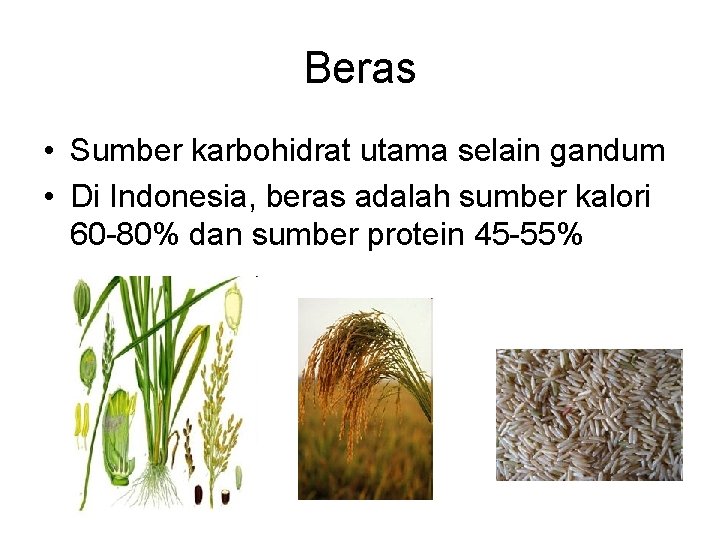 Beras • Sumber karbohidrat utama selain gandum • Di Indonesia, beras adalah sumber kalori