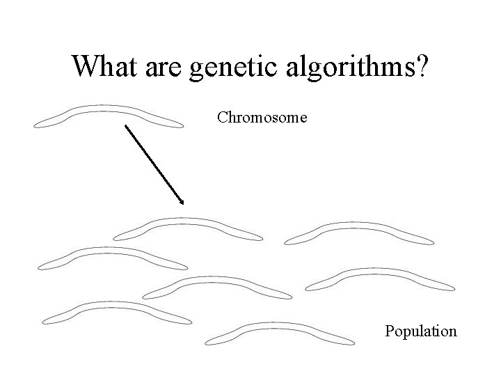 What are genetic algorithms? Chromosome Population 