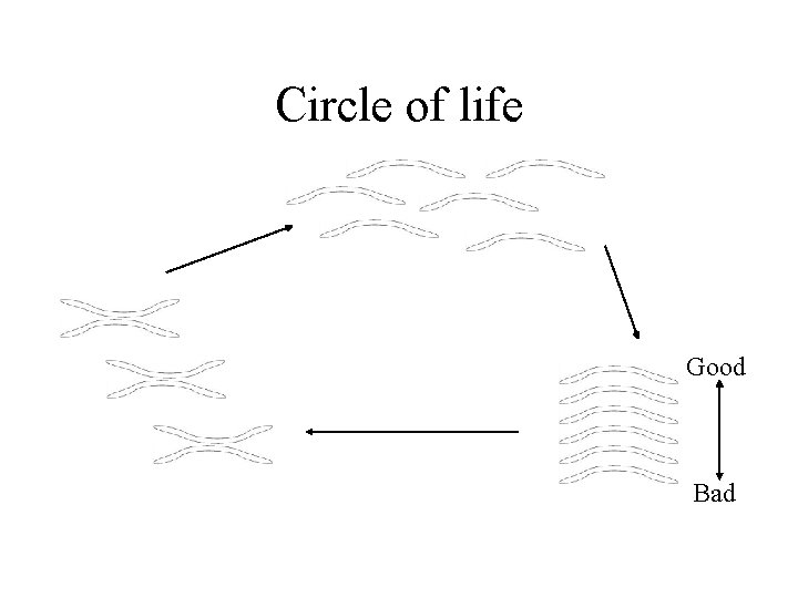 Circle of life Good Bad 