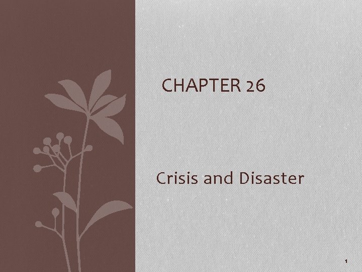 CHAPTER 26 Crisis and Disaster 1 