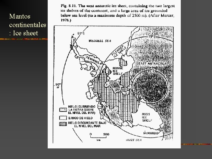Mantos continentales : Ice sheet Mantos continentales : Ice sheet