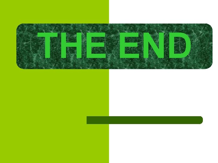 THE END 