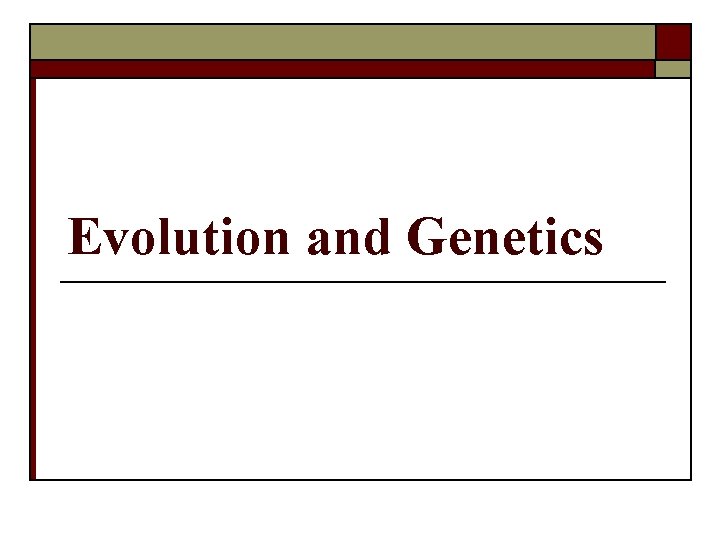 Evolution and Genetics 