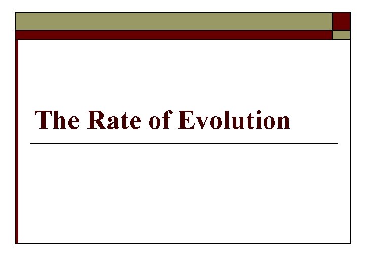 The Rate of Evolution 