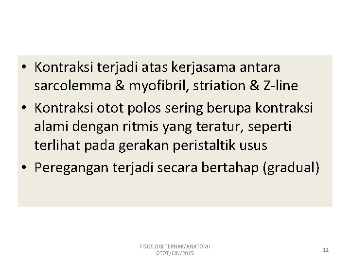  • Kontraksi terjadi atas kerjasama antara sarcolemma & myofibril, striation & Z-line •