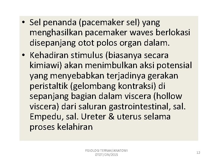  • Sel penanda (pacemaker sel) yang menghasilkan pacemaker waves berlokasi disepanjang otot polos