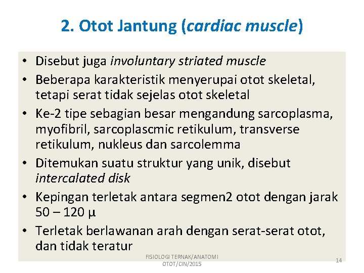 2. Otot Jantung (cardiac muscle) • Disebut juga involuntary striated muscle • Beberapa karakteristik