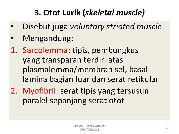 3. Otot Lurik (skeletal muscle) • Disebut juga voluntary striated muscle • Mengandung: 1.