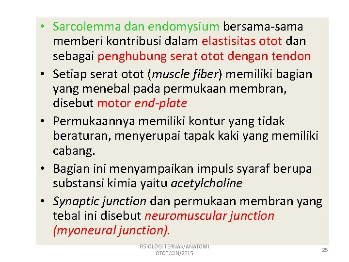  • Sarcolemma dan endomysium bersama-sama memberi kontribusi dalam elastisitas otot dan sebagai penghubung