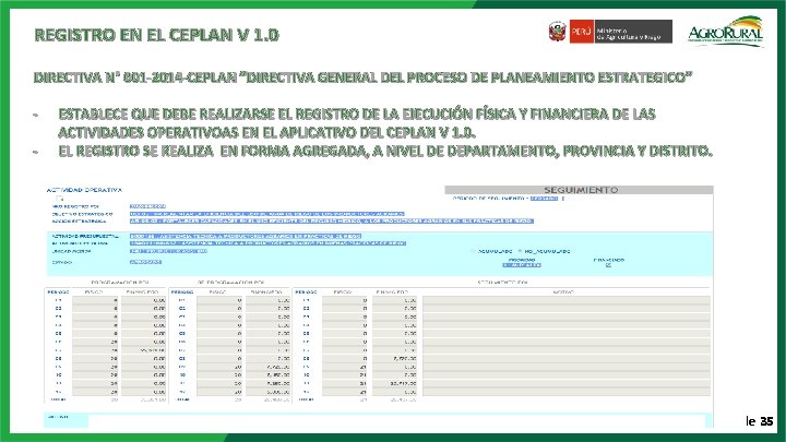 REGISTRO EN EL CEPLAN V 1. 0 DIRECTIVA N° 001 -2014 -CEPLAN “DIRECTIVA GENERAL