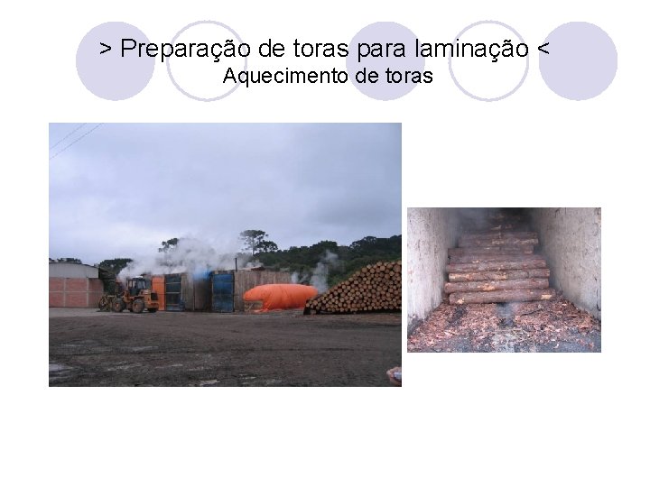 > Preparação de toras para laminação < Aquecimento de toras 