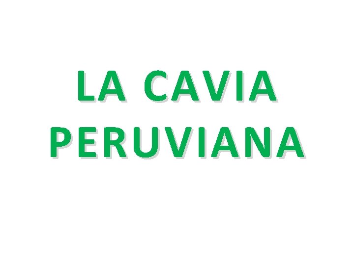 LA CAVIA PERUVIANA 