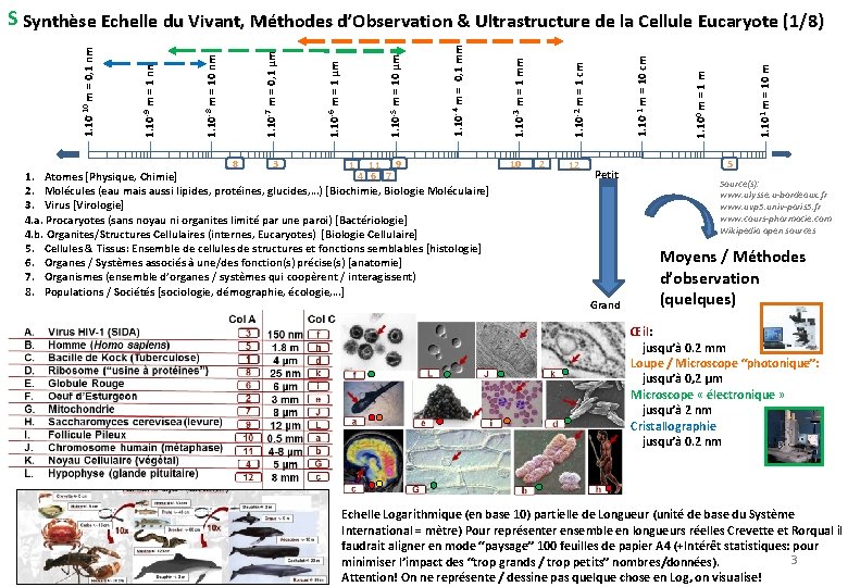 8 3 1 11 9 4 6 7 1. Atomes [Physique, Chimie] 2. Molécules