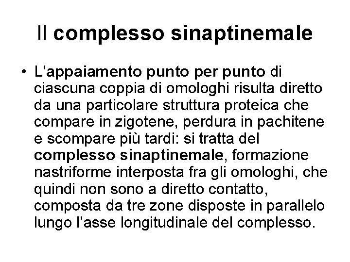 Il complesso sinaptinemale • L’appaiamento punto per punto di ciascuna coppia di omologhi risulta