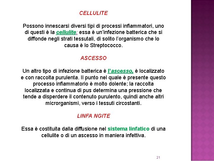 CELLULITE Possono innescarsi diversi tipi di processi infiammatori, uno di questi è la cellulite;