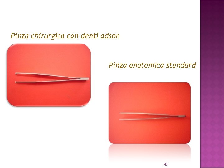 Pinza chirurgica con denti adson Pinza anatomica standard 43 