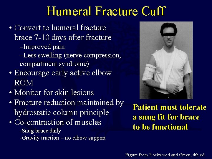 Humeral Fracture Cuff • Convert to humeral fracture brace 7 -10 days after fracture