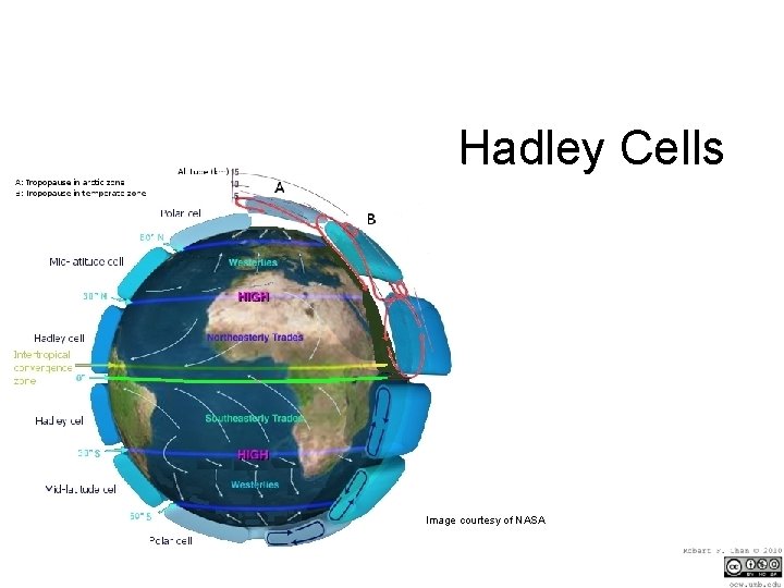 Hadley Cells Image courtesy of NASA 