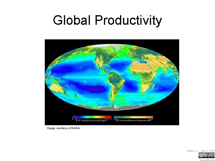 Global Productivity Image courtesy of NASA 