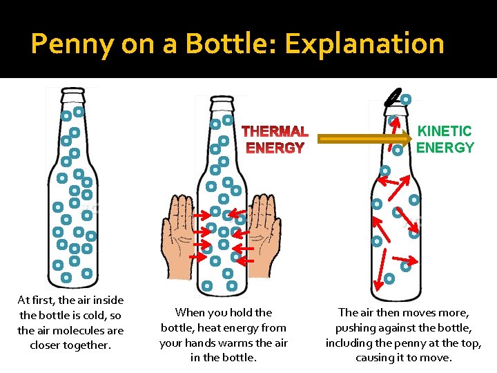Penny on a Bottle: Explanation KINETIC ENERGY At first, the air inside the bottle
