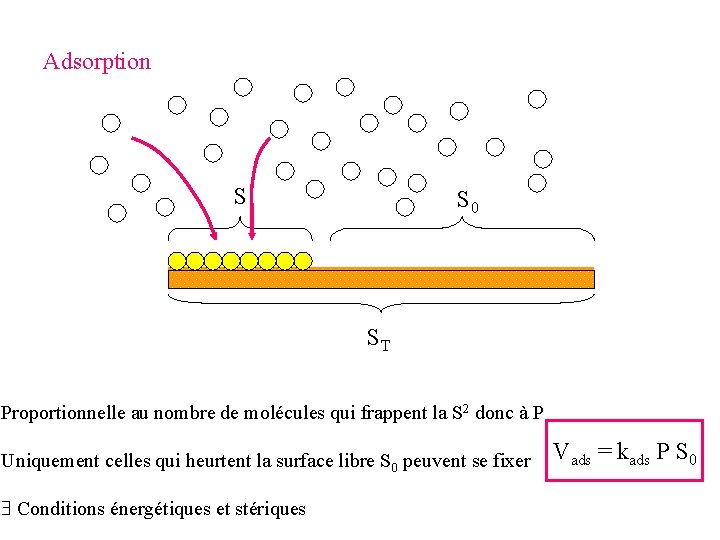 Adsorption S S 0 ST Proportionnelle au nombre de molécules qui frappent la S Adsorption S S 0 ST Proportionnelle au nombre de molécules qui frappent la S